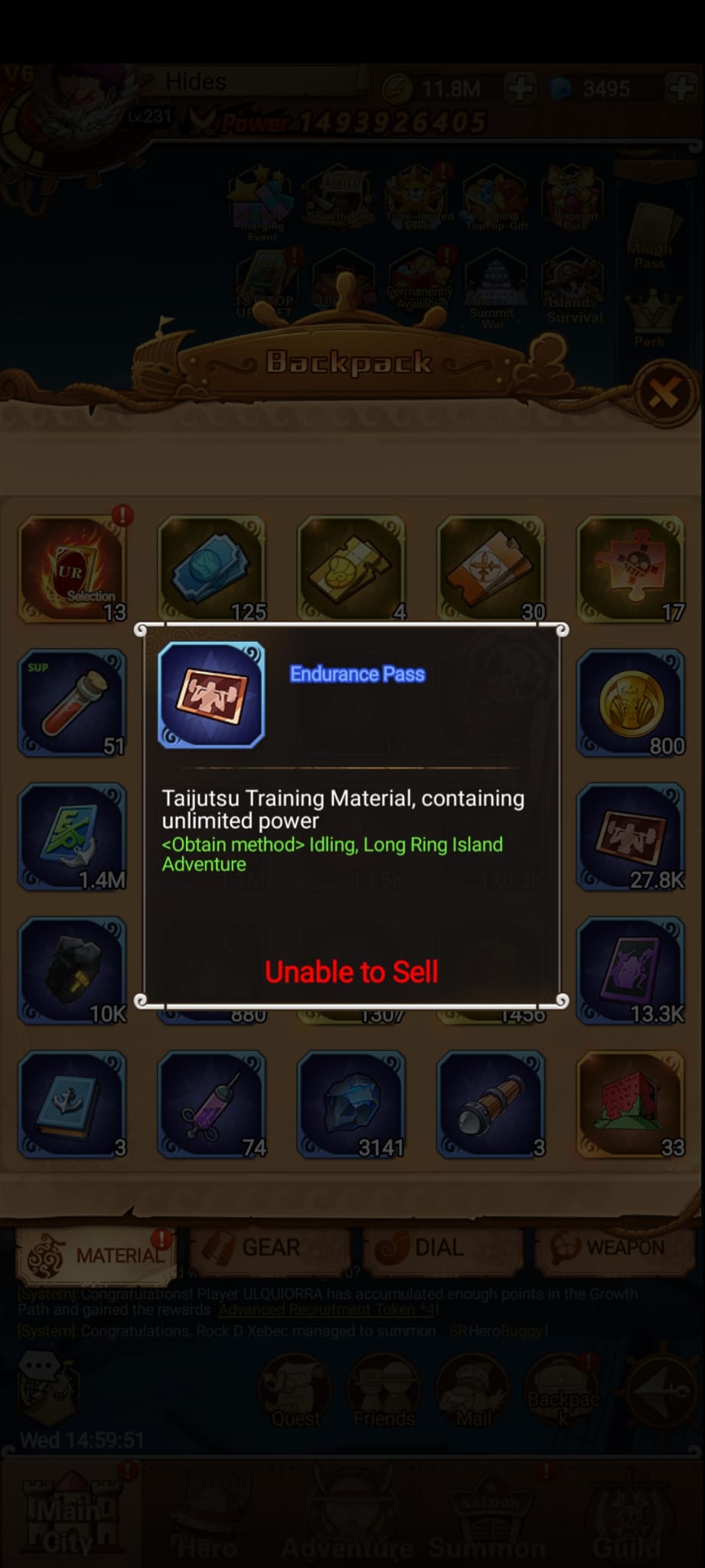 Endurance Pass